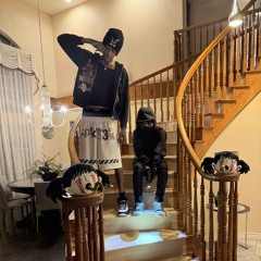 zayguapkid x domd - goosebumps prod andi2k