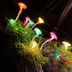 Stay. We're Going Somewhere