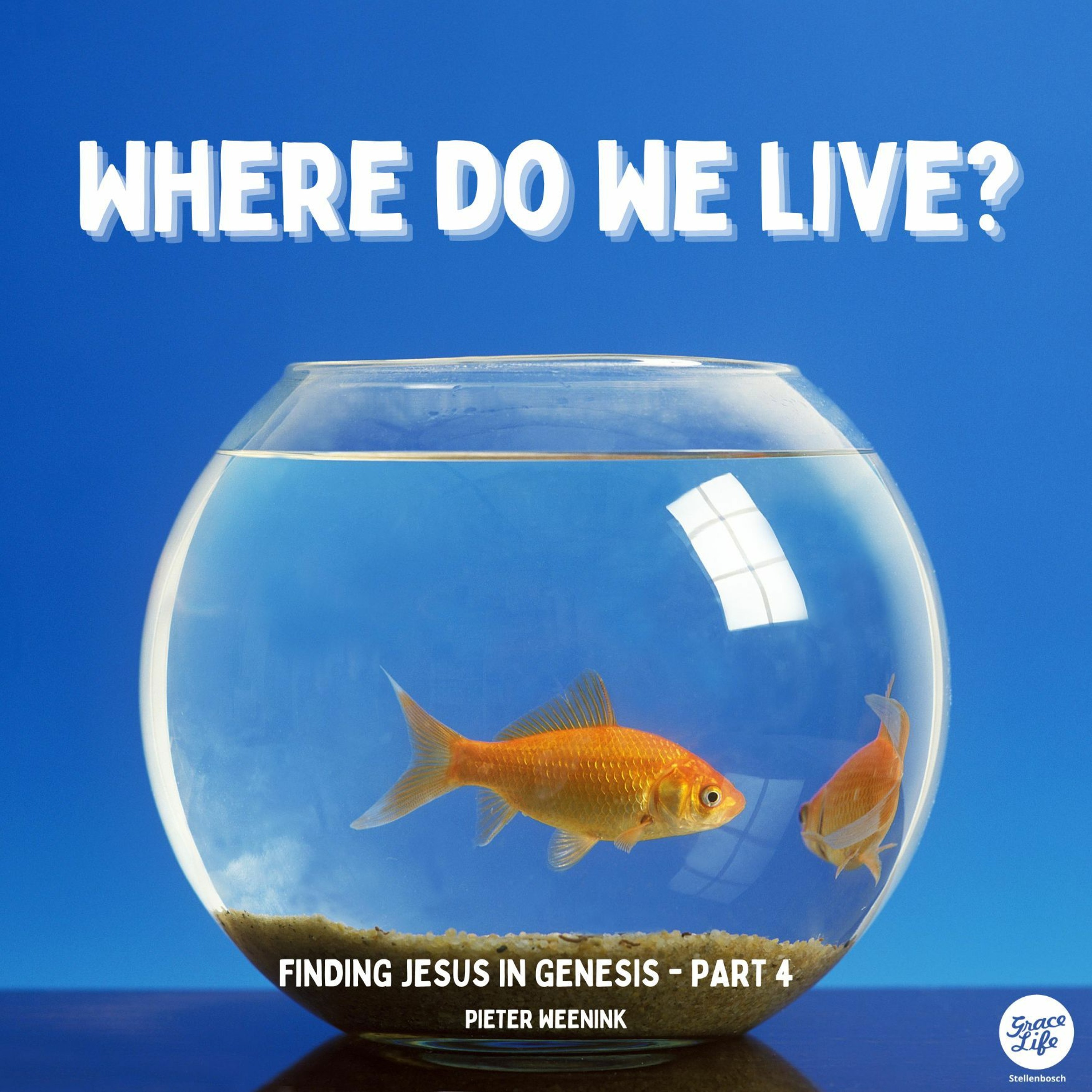Finding Jesus In Genesis - Part 4 - Where Do We Live? - Pieter Weenink (Stellenbosch)
