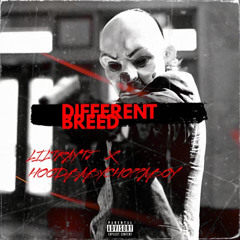Different breed FT LilTrayTJ