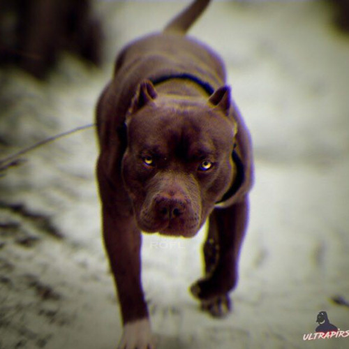 Ноггано ft. Словецкий - Будь Здоров.mp3