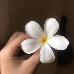 من يقول الزين ما يكمل حلاه؟ كل شي في أمل اكتمل🤍