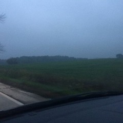 glass on the wall (deleted)