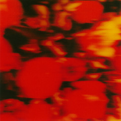 Lions & Cowards (feat. Phabo)