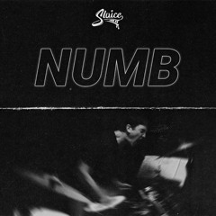 NUMB [DIRECT DL]