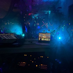 Darkwood Vortex Warehouse Party
