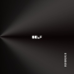self.