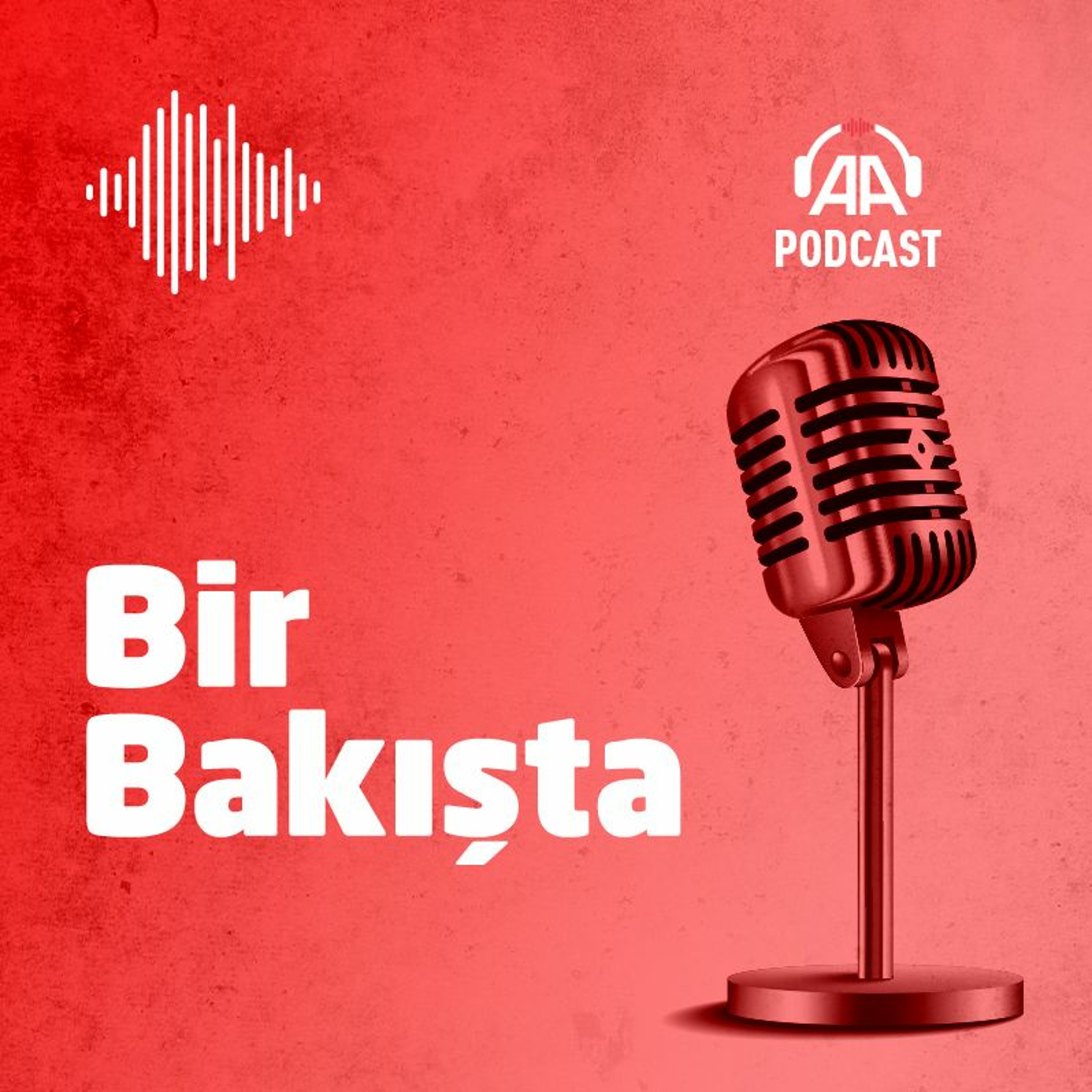 Anadolu Ajansı