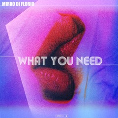 Mirko Di Florio - What You Need (Radio Edit)