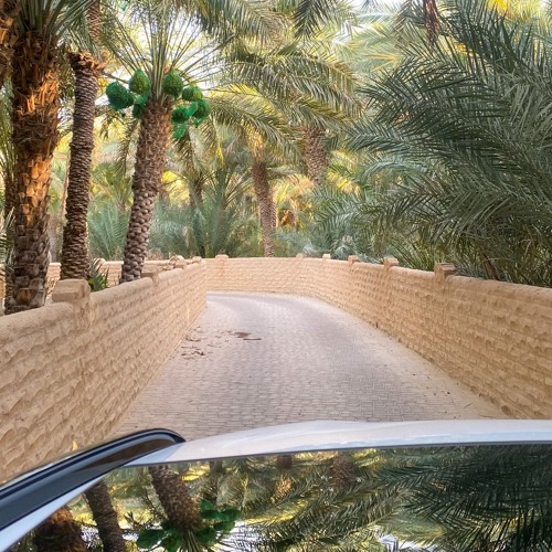 في العين يعل الروح تفداك💜