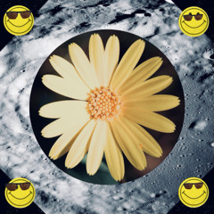 Moonflower Calendula (moonlight mix) ft. Nina Moody / 138 bpm