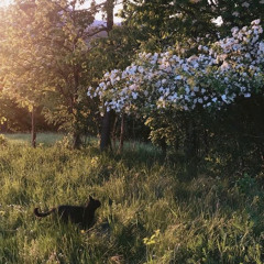 willowind & Haphaz7ard - Eventide