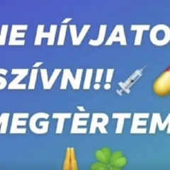 Bolondozó