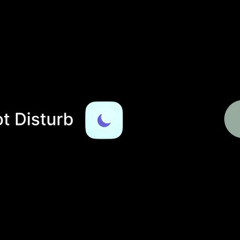 Do Not Disturb