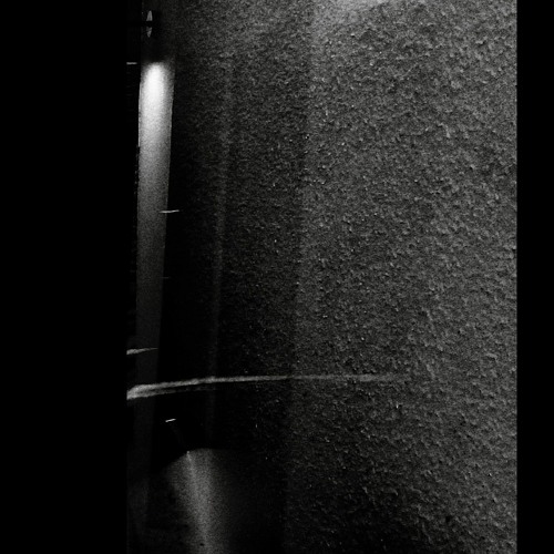 01 Data Domain - El Emerger De La Libelula