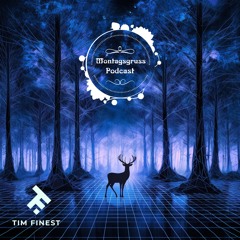 Montagsgruss #51 mit Tim Finest