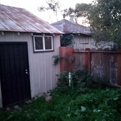 skawt + narnia - mAry jane