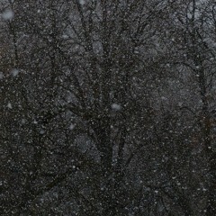 Jack Frost Is Here