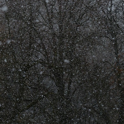 Jack Frost Is Here