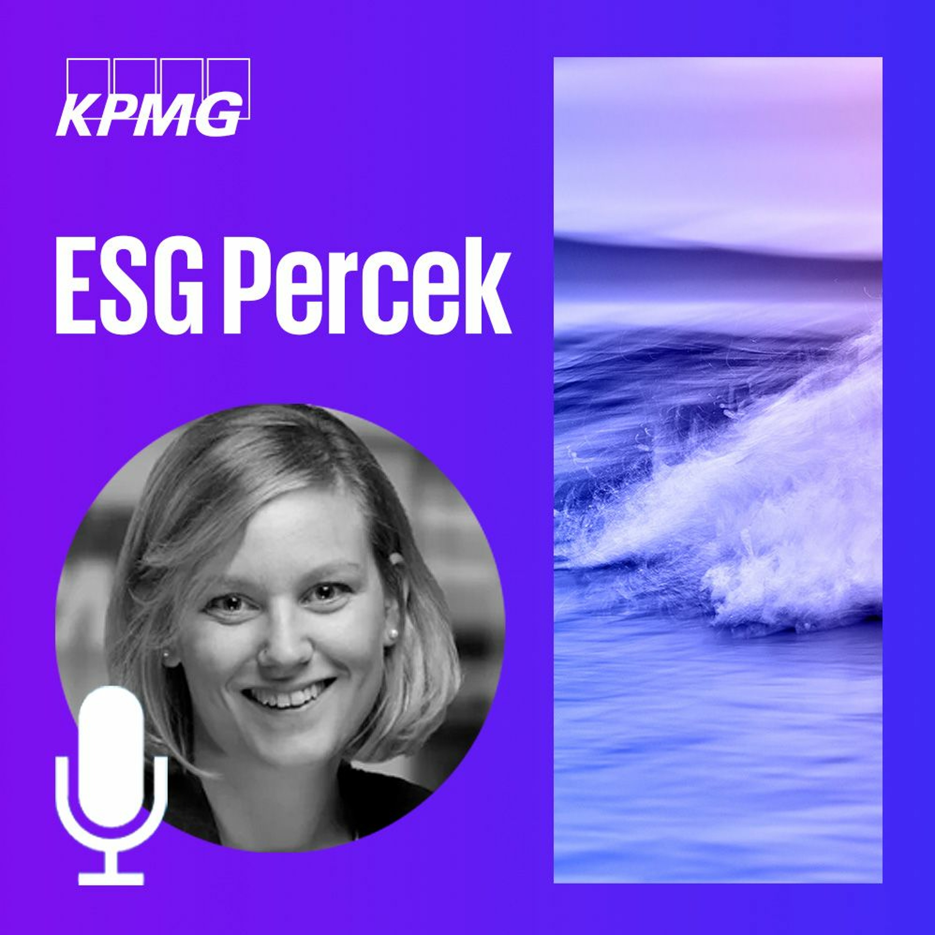 KPMG ESG Percek