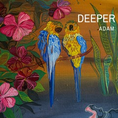 Adam - Deeper