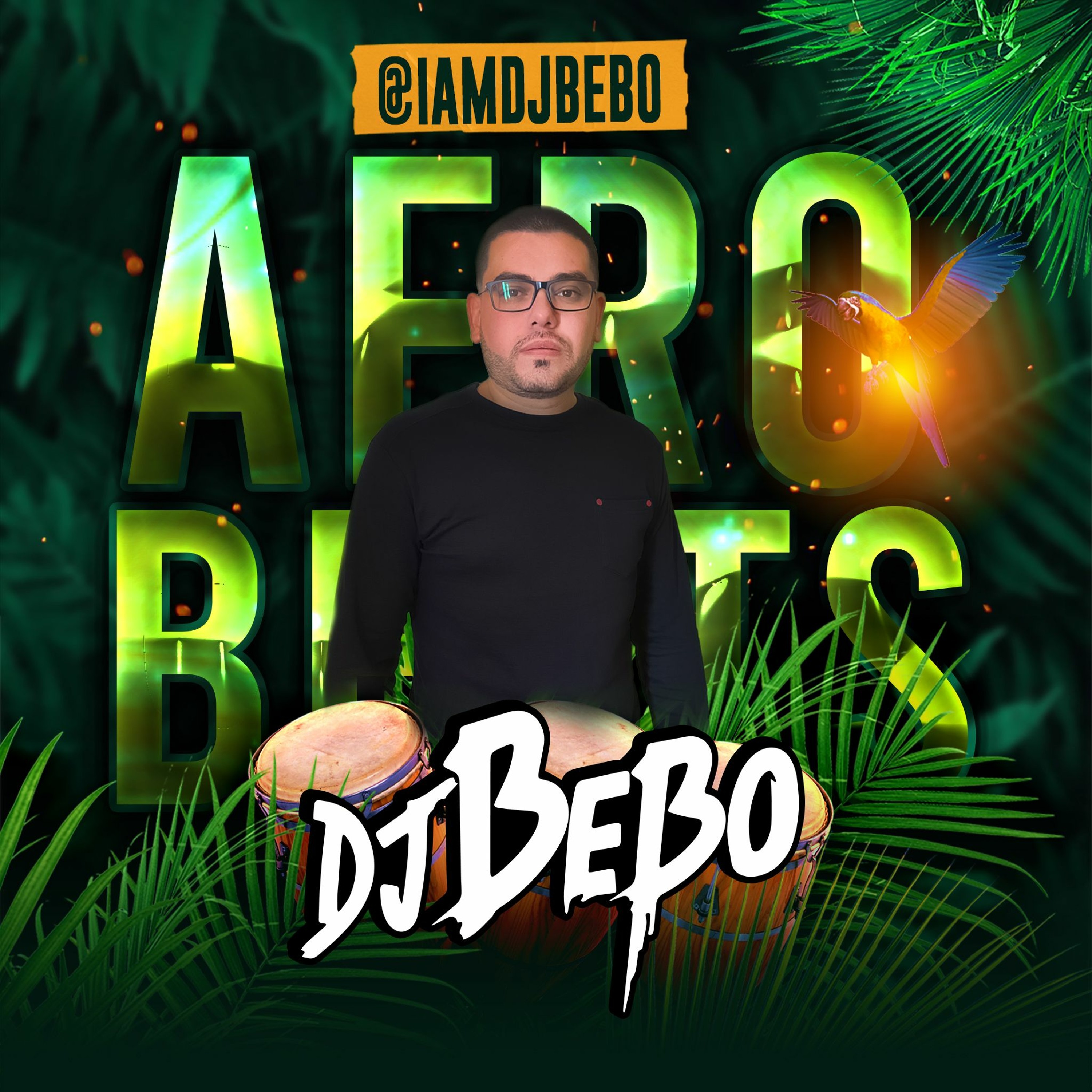 IAMDJBEBO.COM