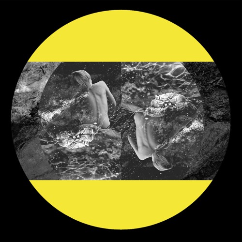 IARLTDT009 - Roll Dann - Traps Of Desire
