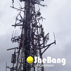 Last Transmission (Original Mix)