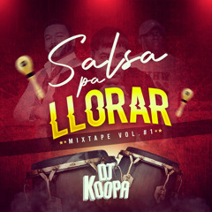 SALSA PA LLORAR #5 🪇 (Ven Devorame Otra Vez, Lobo Domesticado, Señora Ley, Tu Con El)