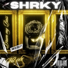 SHRKY's Drum my Bass Mix Series Vol. 008 - Golden Emotions Chill Vocal DnB Mix