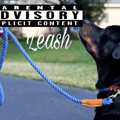 Leash