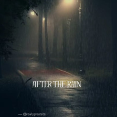 Adge, The Oranutang (2)