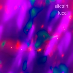 slfctrlrt (prod. Luccii)