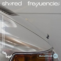 SHARED FREQUENCIES N°017 | MURAD DWELL