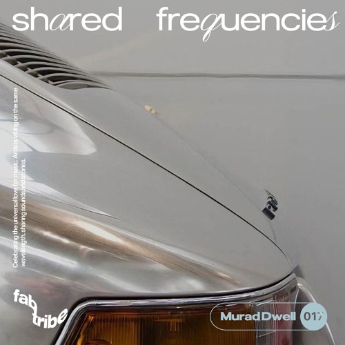 SHARED FREQUENCIES N°017 | MURAD DWELL