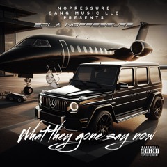 What they gone say now .mp3