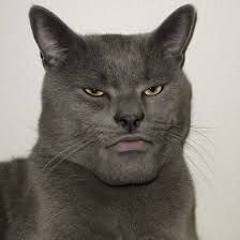 Uptempo - Frenchcore - Hardstyle - Terror