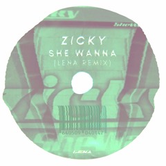 Zicky - She Wanna (LENA Remix) (FREE DL)