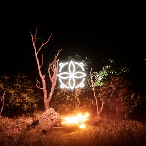 やrimitives XII live from Bioma 2023
