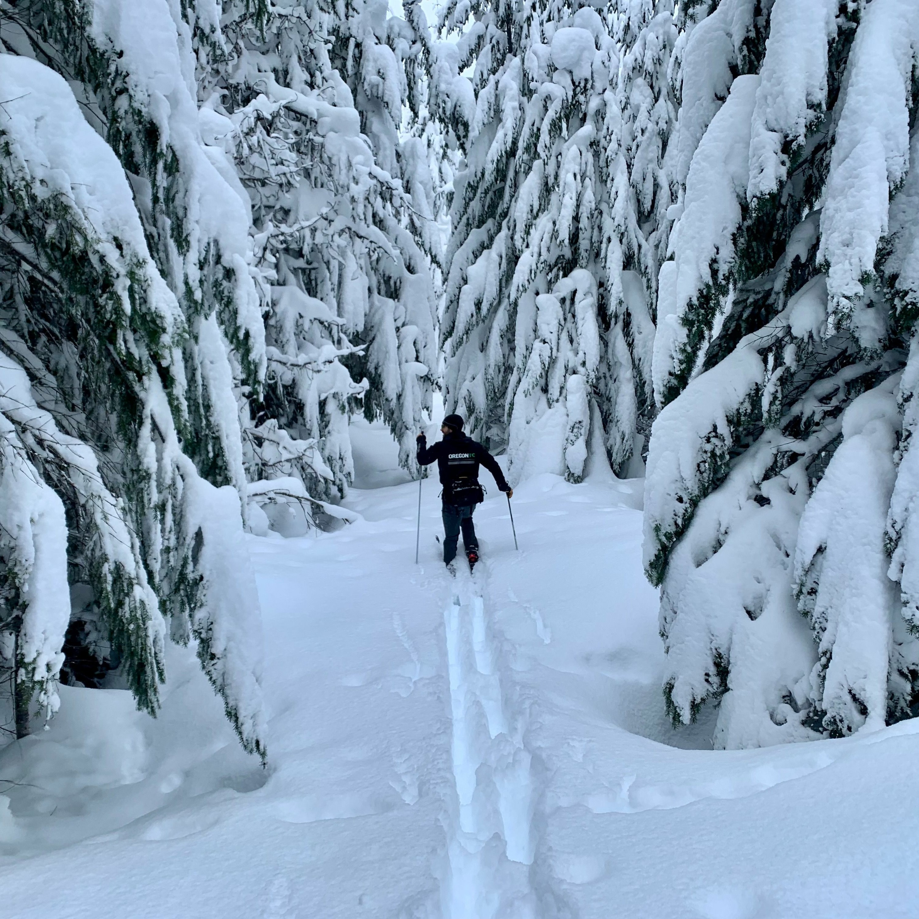 Explore Oregon Podcast: The state\'s most beautiful places and biggest issues