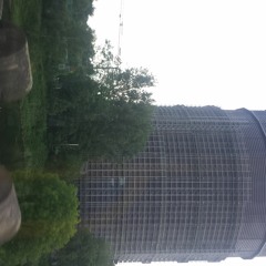 VARIOUS ARTISTS oo1 Tapes