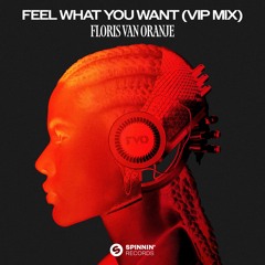 Feel What You Want (VIP) (Extended Mix)