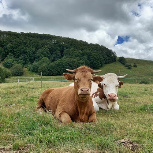 Best of 2020 pt 1: what are we passing on?