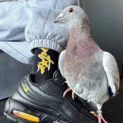 5am vyatka prod. NEWWEN