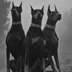 DOG TIMS FT (@UPSTIZZYY)