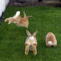 Это всё уже не то-Leto v ogorode