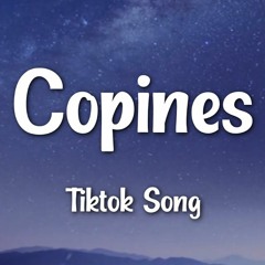 Copines Tiktok Song - Aya Nakamura (Slowed - Reverb) We Wibu Pota Pota