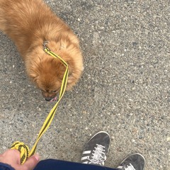 free og buda scally milano 163onmyneck type beat