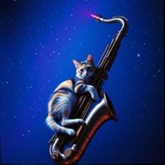 Galaxy Cat