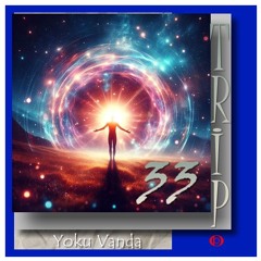 Trip_33